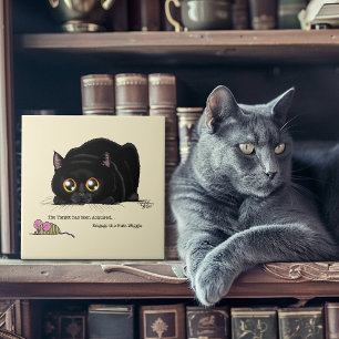 Bumbum do gatinho traçado