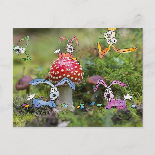 "BUNNIES LOUCOS!" Cartão Postal (Frente)