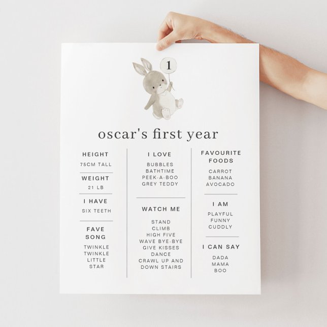 Bunny Balloon - Poster (Criador carregado)