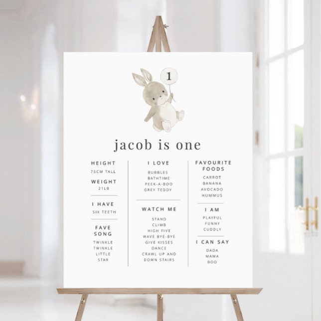 Bunny Balloon - Poster (Criador carregado)