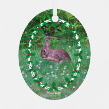 Bunny & Cardinal ou a sua fotografia com Holly Bor