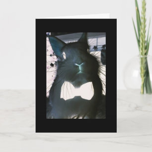 ***BUNNY FUNNY*** CARTÃO FUNNY **GREETINGS DE PÁSC