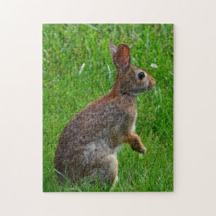 Bunny Rabbit Jigsera Quebra-cabeça