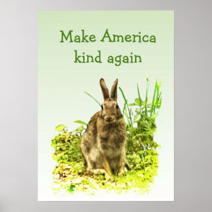 Bunny Rabbit Torna a América Mais Uma Vez Poster