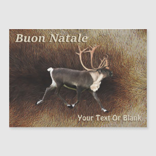 Buon Natale - Bull Cariou (Reindeer)