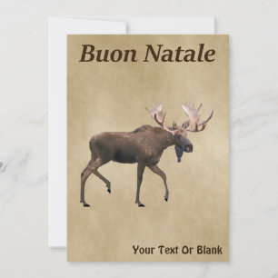 Buon Natale - Bull Moose On Old Paper