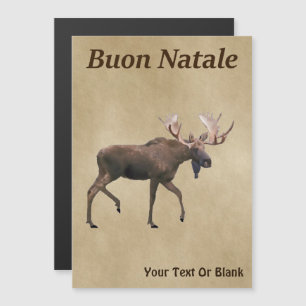 Buon Natale - Bull Moose On Old Paper