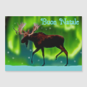 Buon Natale - Luzes do Norte Moose