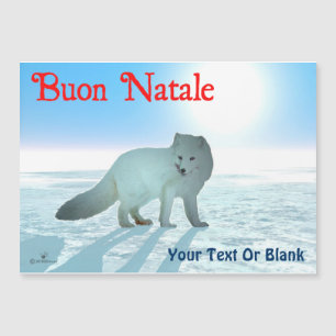 Buon Natale - Raposa Árctica