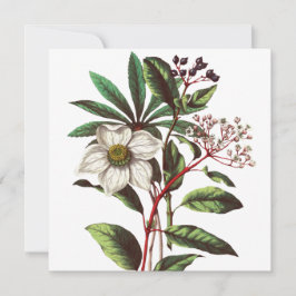 Buquê de Flor de Natal Botânico Vintage