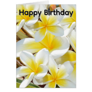Buquê de Frangipani, Cartão de Aniversário