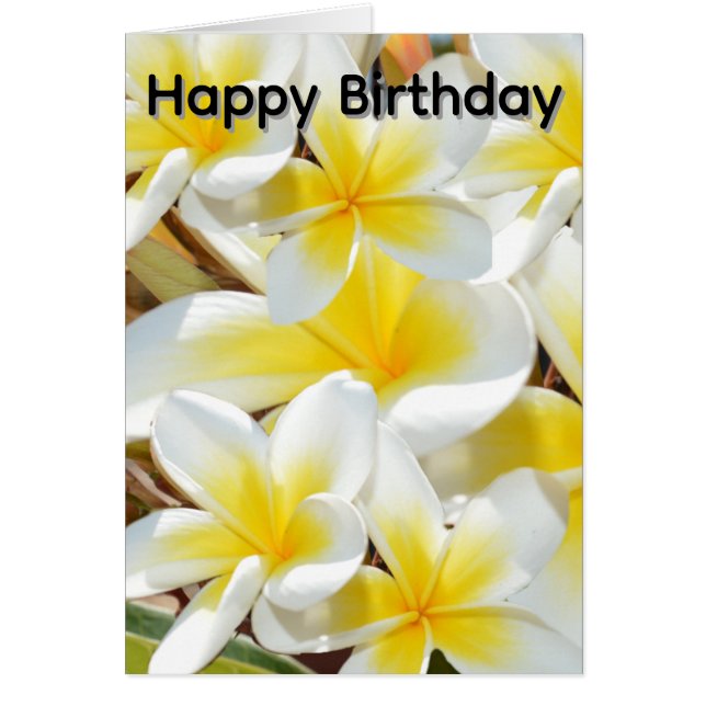 Buquê de Frangipani, Cartão de Aniversário (Frente)