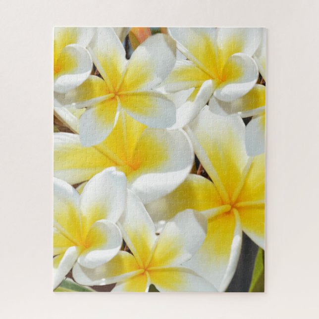 Buquê de Frangipani, Quebra-cabeça de Jigsera (Vertical)