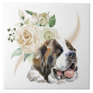 Buquê de Rosa Branco Santo Bernard Dog