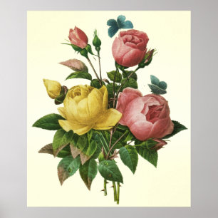 Buquê de Rosa e Borboleta, Pierre Redoute Poster