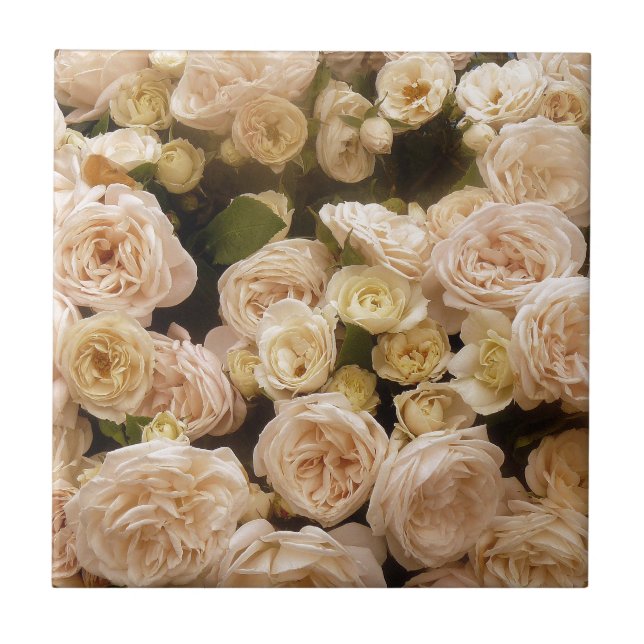 Buquê de Rosas (Frente)