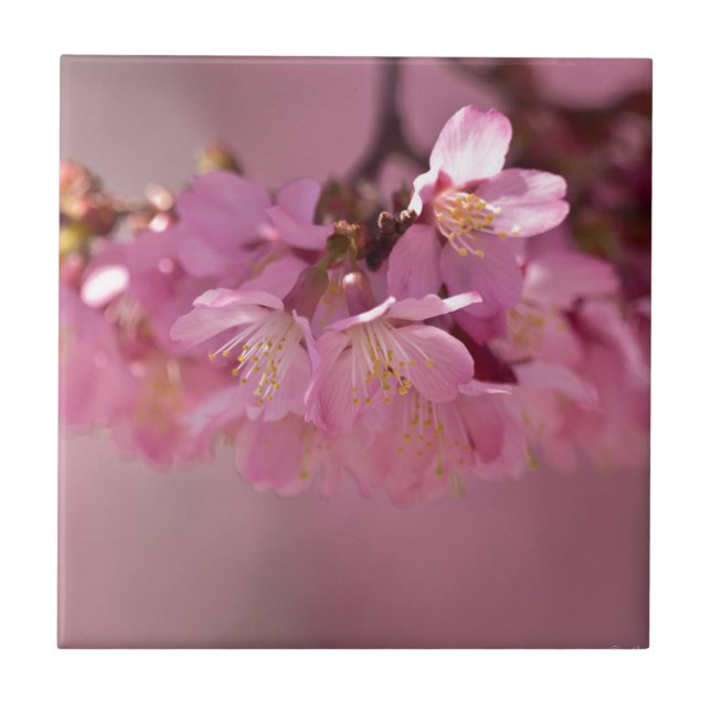 Buquê Delicado Rosa de Flores de Cerejeira Sakura (Frente)