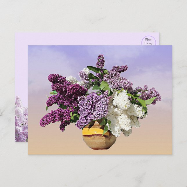 Buquê do cartão postal Lilacs (Frente/Verso)
