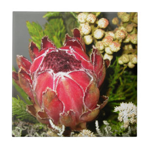 Buquê do Protea