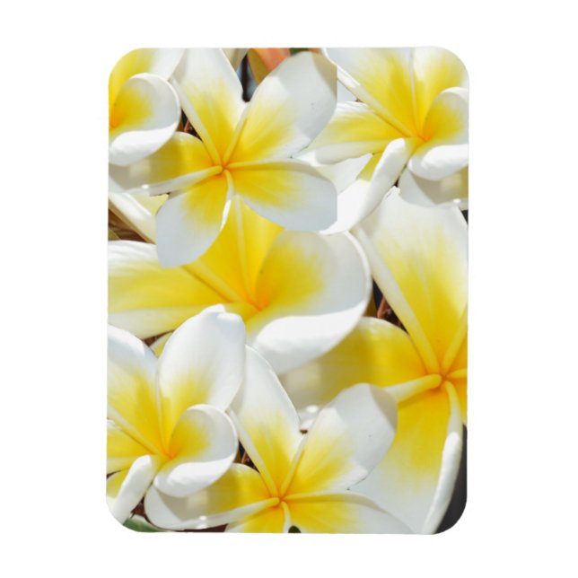 Buquê Frangipani, ímã flexível (Vertical)