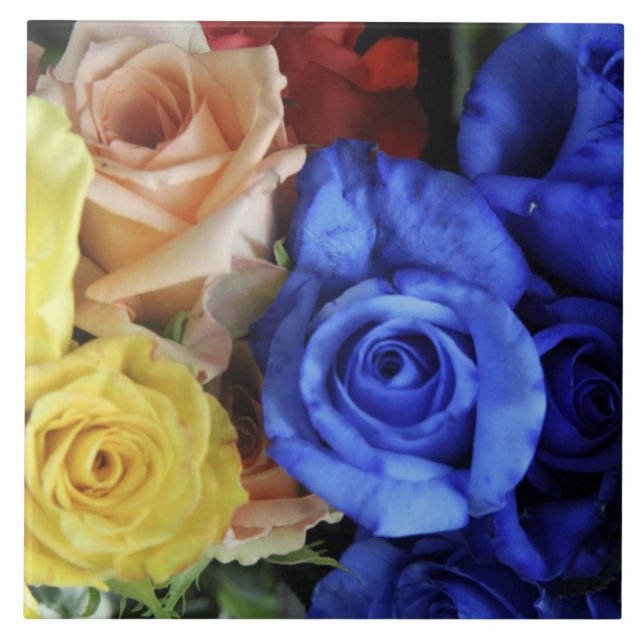 Buquês de rosas frescas sortidos (Frente)
