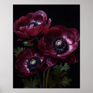 Burgundy Anemone Flowers Art Impressão Poster