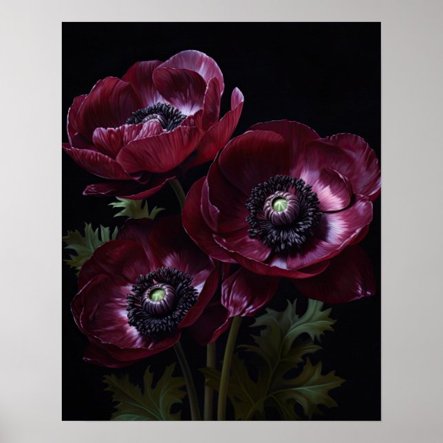 Burgundy Anemone Flowers Art Impressão Poster (Frente)