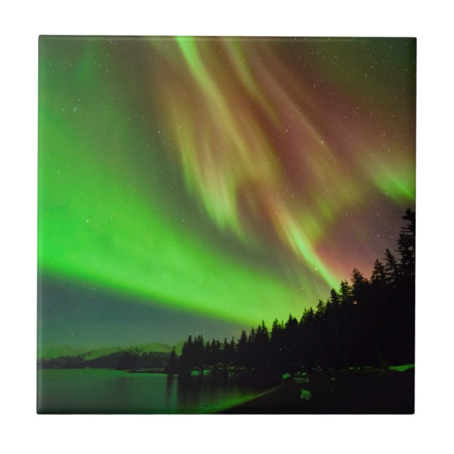 Burgundy Aurora (Frente)