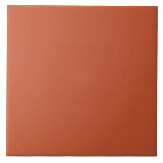 Burnt Sienna Color | #C65430
