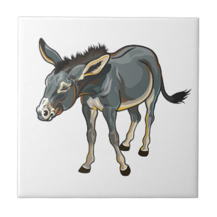 burro