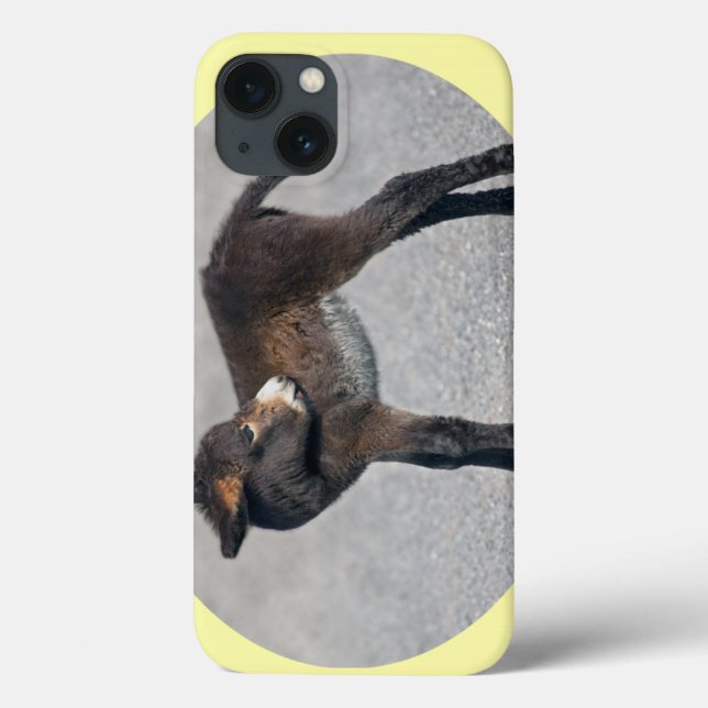 Burro iPad Case (Verso)