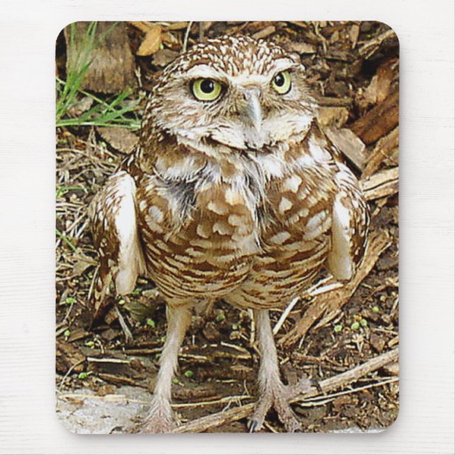 Burrowing a coruja Mousepad (Frente)