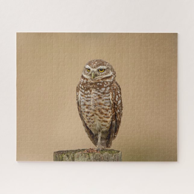 Burrowing Owl Jigsee Quebra-cabeça (Horizontal)