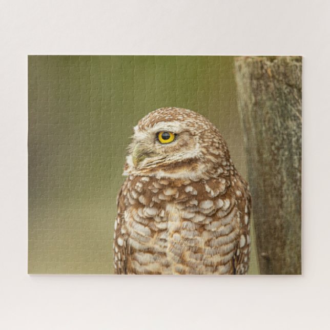Burrowing Owl Jigsee Quebra-cabeça (Horizontal)