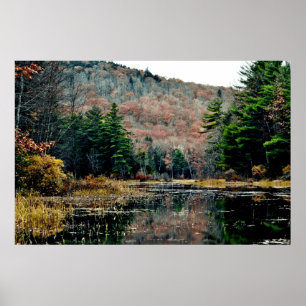 Busca & poster do achado