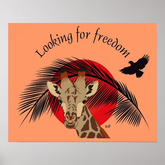 Buscando a liberdade de Poster (Frente)