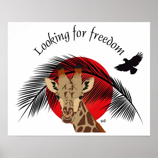 Buscando a liberdade de Poster (Frente)