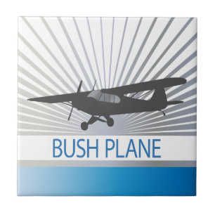 Bush Plane