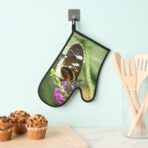 Butterfly and flower