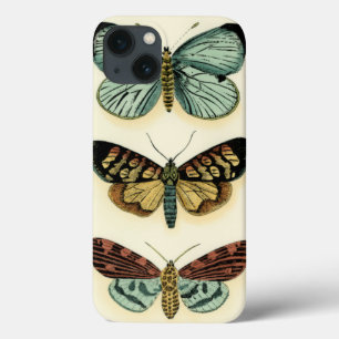Butterfly Collection by Chariklia Zarris