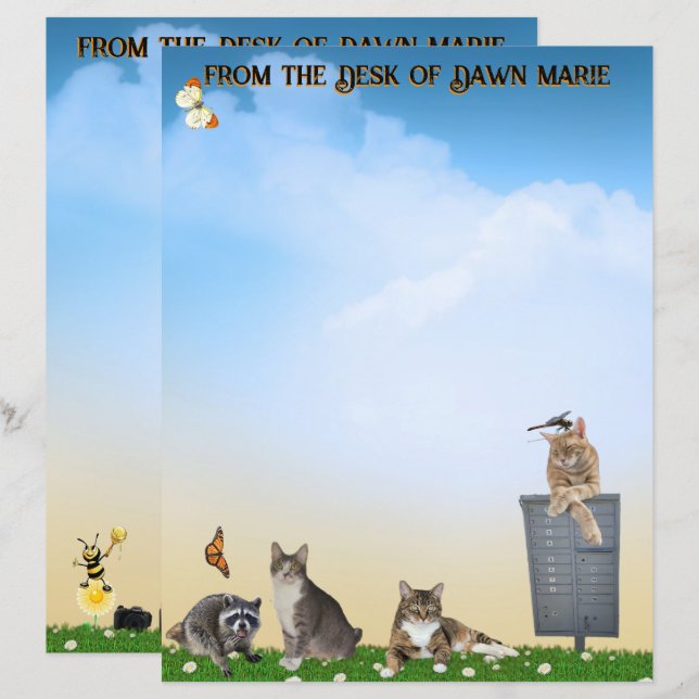 Butterfly, Dragonfly, Raccoon, and Summer Fun (Frente/Verso)