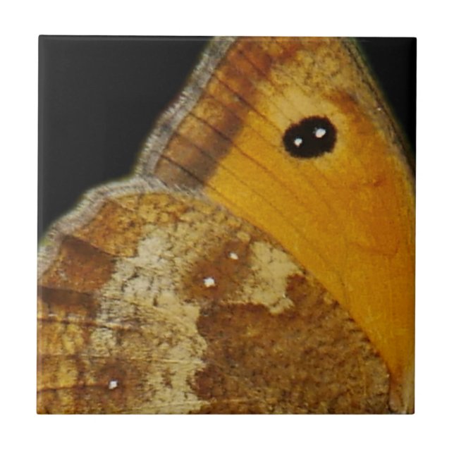 Butterfly Wing Tile (Frente)