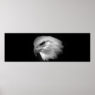 BW American Bald Eagle Impressão - Posters Panorâm