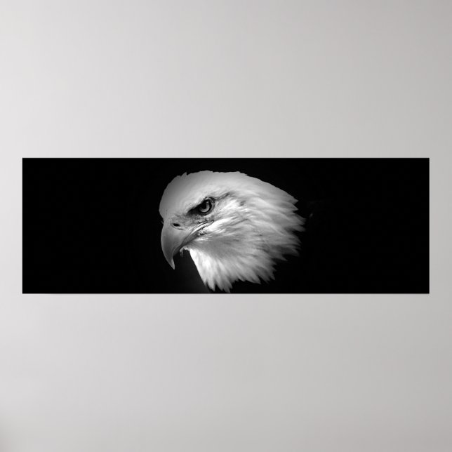 BW American Bald Eagle Impressão - Posters Panorâm (Frente)