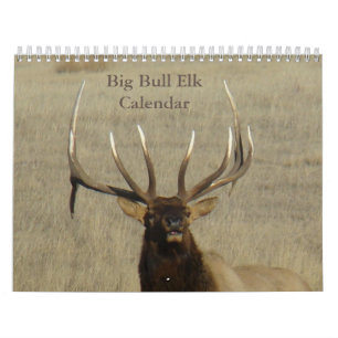 C9 Calendário Grande do Elk Bull