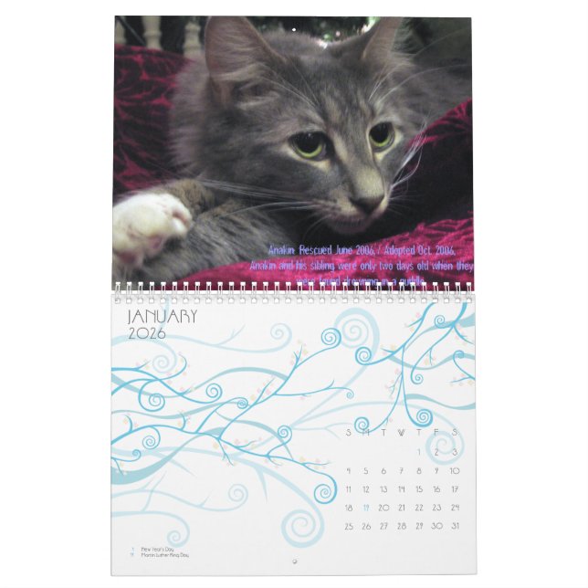 C.A.T.S. Calendário 2009 (Jan 2026)