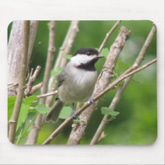 C. angélico Chickadee Mousepad
