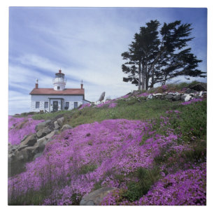 CA, Crescent City, farol de Battery Point com