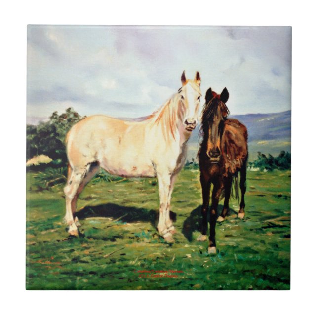 Caballos/Cabalos/Horses (Frente)