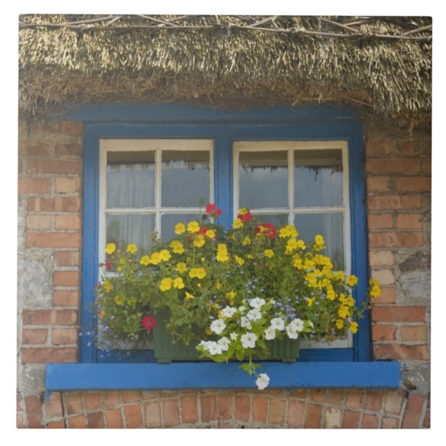 Cabana de colmo, Adare, Condado de Limerick, (Frente)